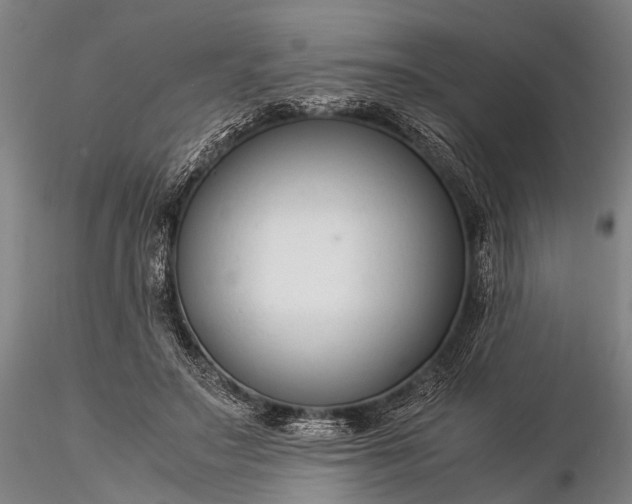 X0000116370499200912161441