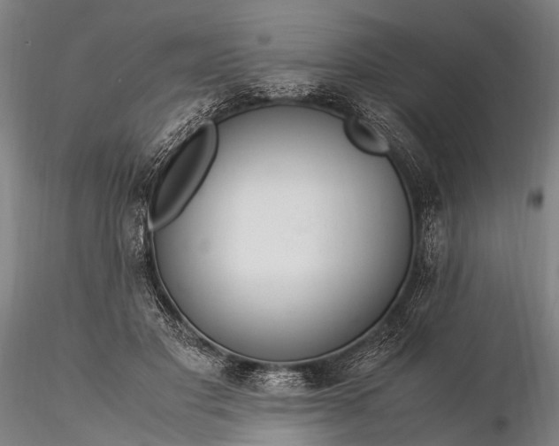 X0000116370501200912161441