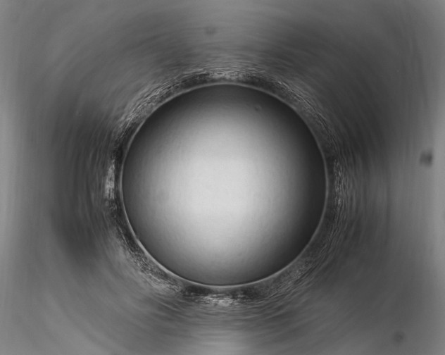 X0000116370502200912161441