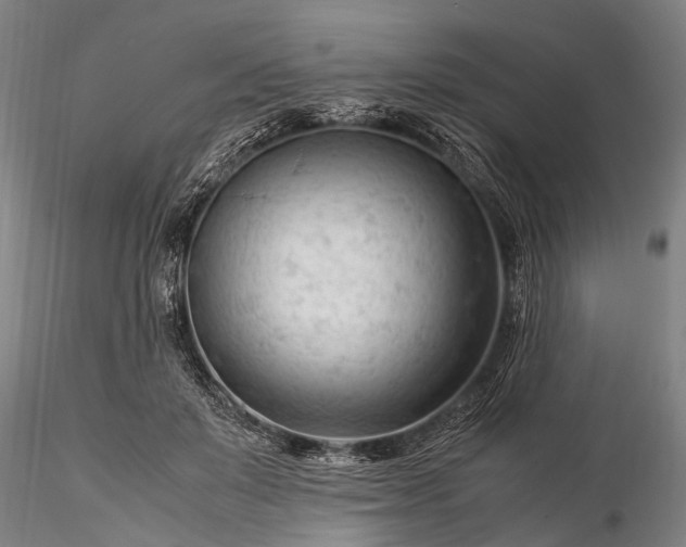 X0000116370503200912161441