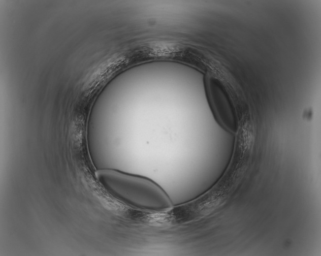 X0000116370505200912161441