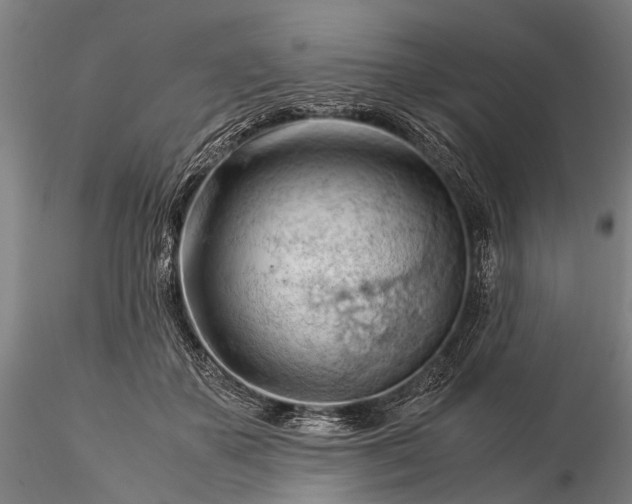 X0000116370507200912161441