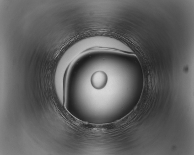 X0000116370508200912161441