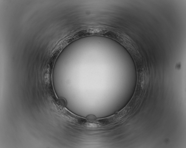 X0000116370510200912161441