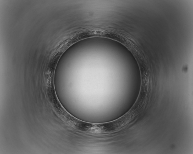 X0000116370511200912161441