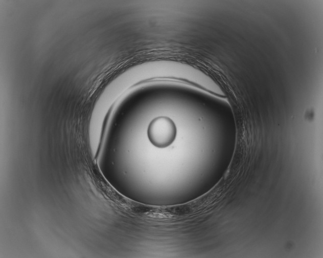 X0000116370512200912161441