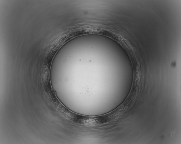 X0000116370513200912161441