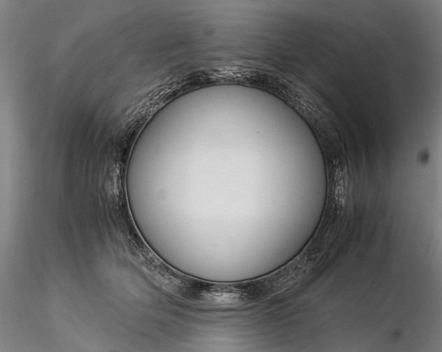 X0000116370514200912161441