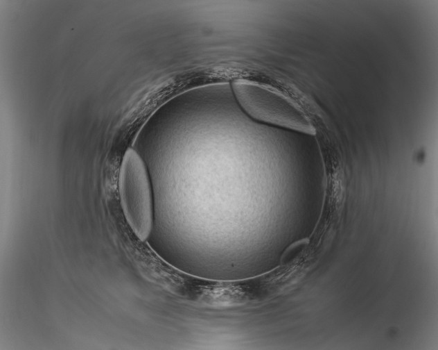 X0000116370517200912161441