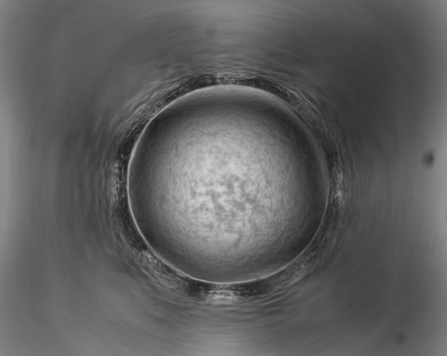 X0000116370519200912161441