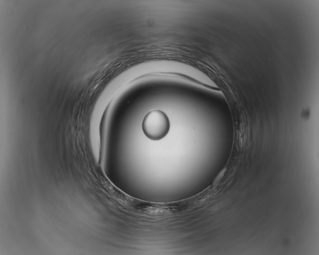 X0000116370520200912161441