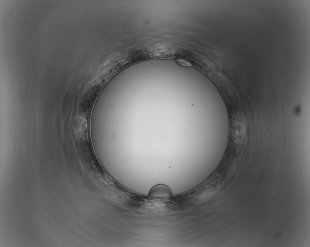 X0000116370523200912161441