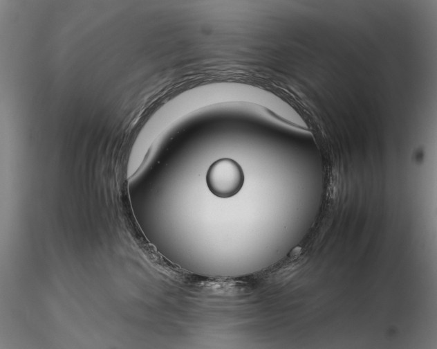 X0000116370524200912161441