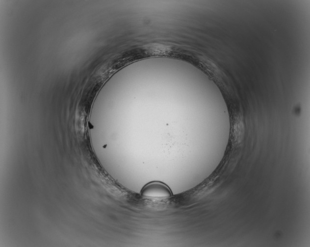 X0000116370525200912161441