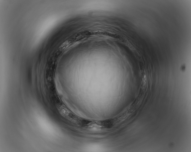 X0000116370526200912161441