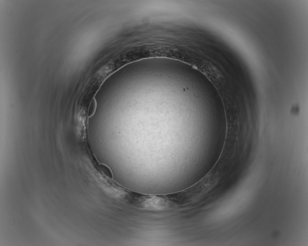 X0000116370527200912161441