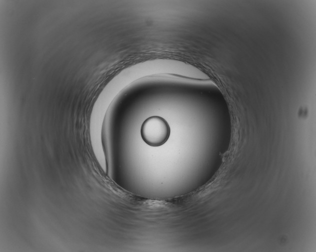 X0000116370528200912161441