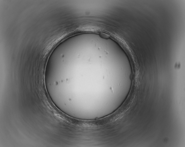 X0000116370529200912161440