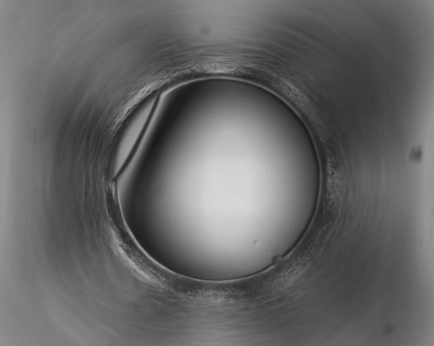 X0000116370530200912161440