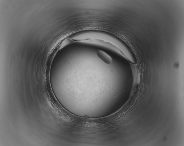 X0000116370531200912161440