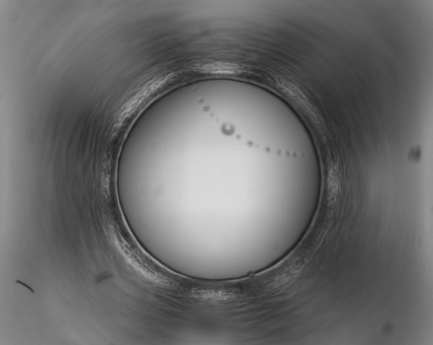 X0000116370533200912161440