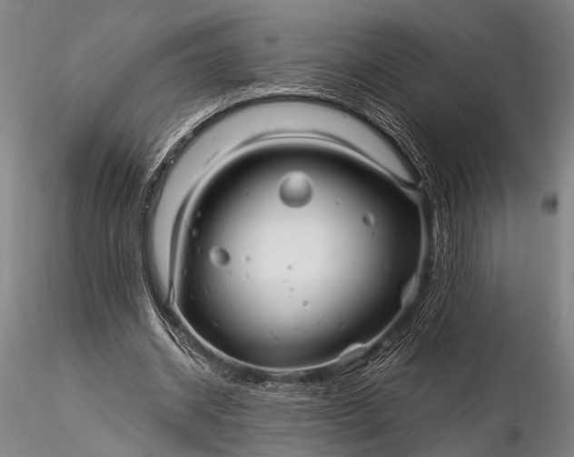 X0000116370534200912161440