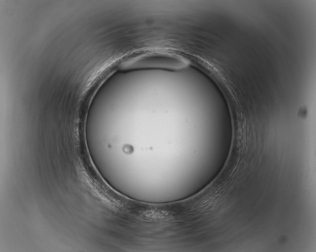 X0000116370535200912161440