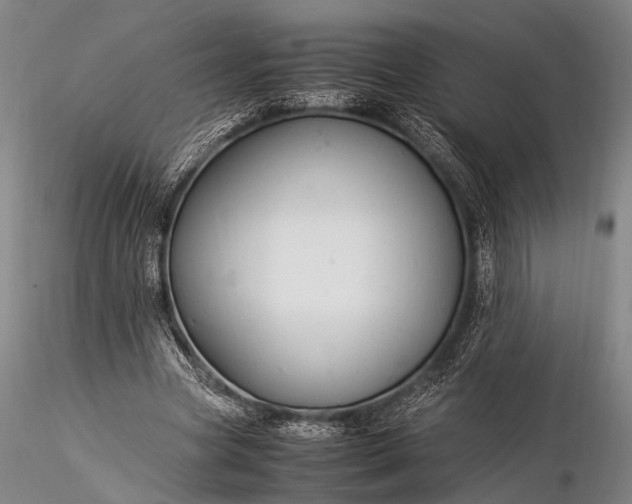 X0000116370537200912161440