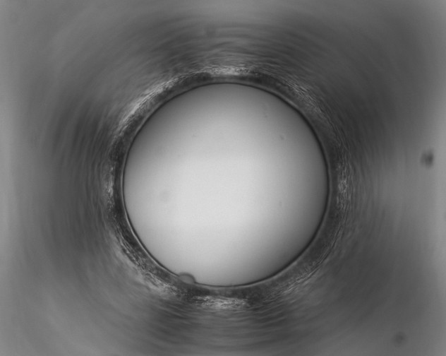 X0000116370539200912161440