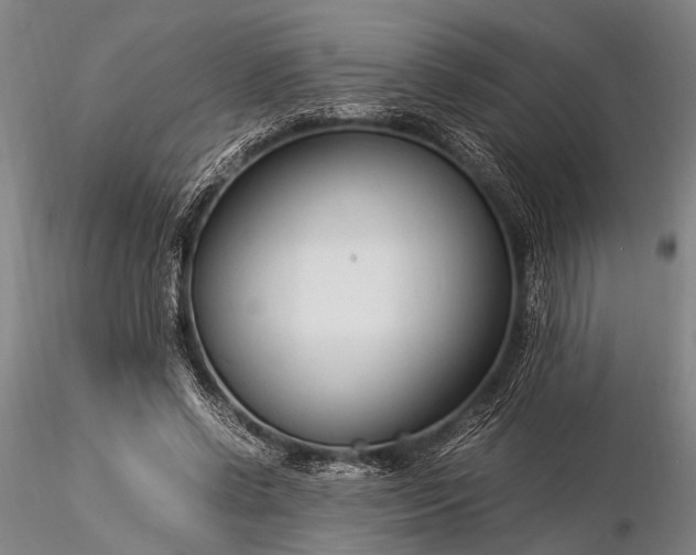 X0000116370542200912161440