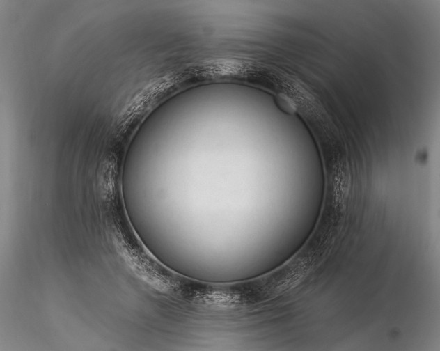 X0000116370546200912161440