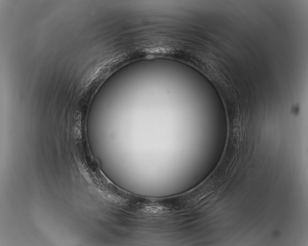 X0000116370547200912161440