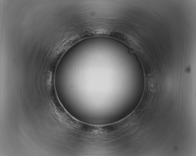 X0000116370550200912161441