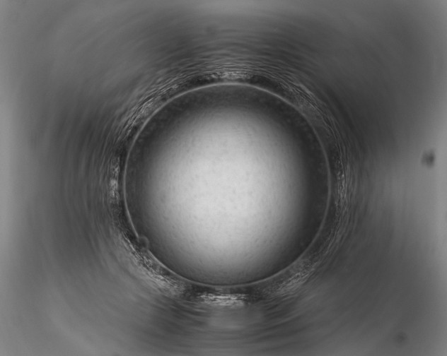 X0000116370553200912161441