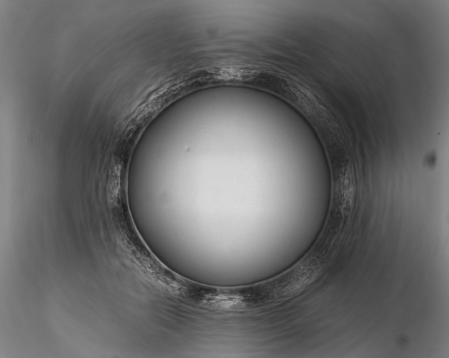 X0000116370554200912161441