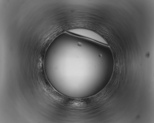 X0000116370555200912161441