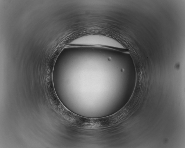 X0000116370559200912161441