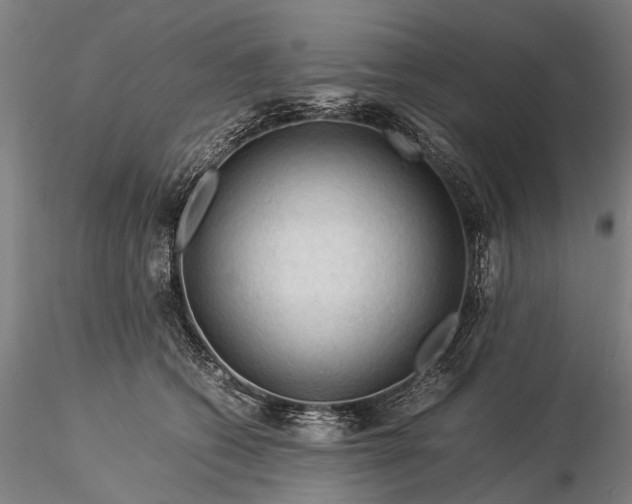 X0000116370562200912161441