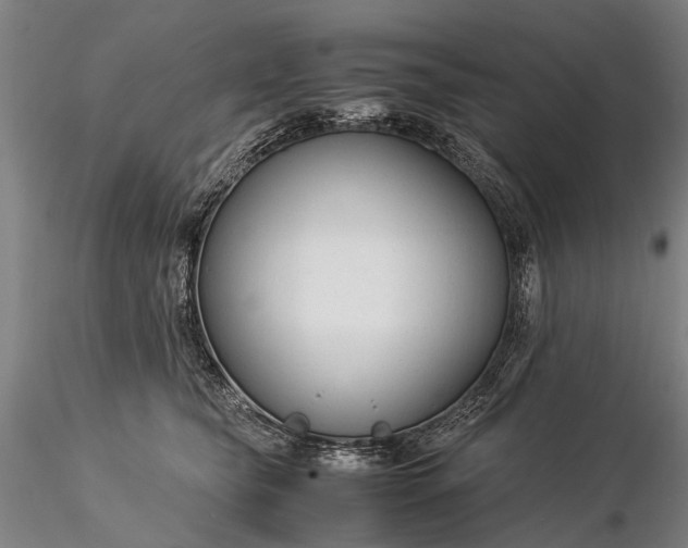 X0000116370565200912161441