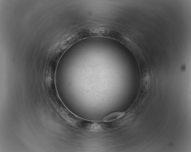 X0000116370566200912161441