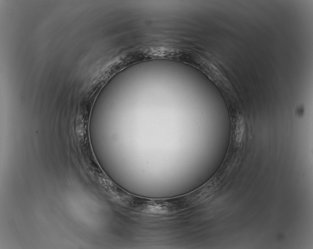 X0000116370569200912161441