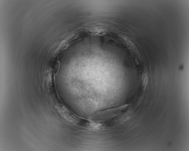 X0000116370570200912161441