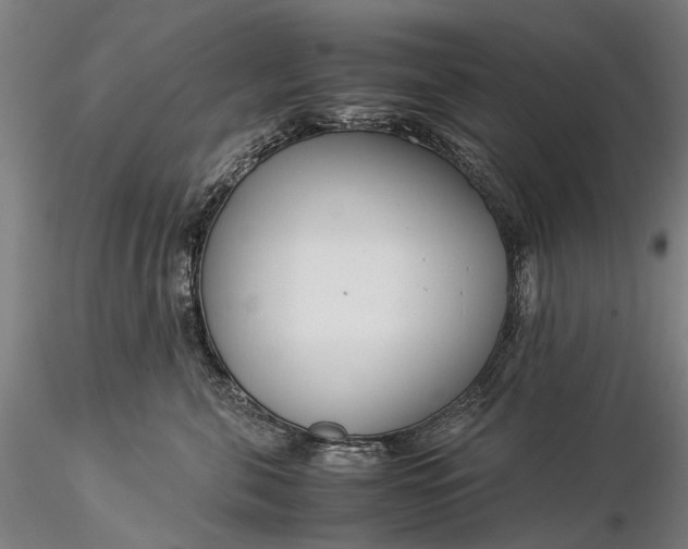 X0000116370571200912161441