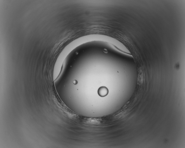 X0000116370573200912161441