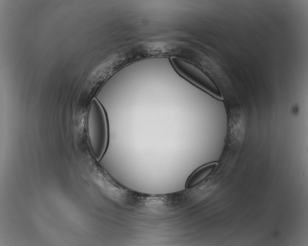 X0000116370574200912161441