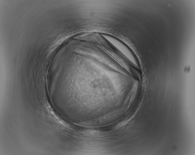 X0000116370577200912161440