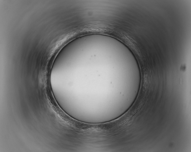 X0000116370578200912161440