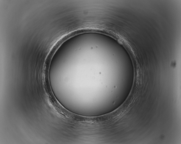 X0000116370580200912161440