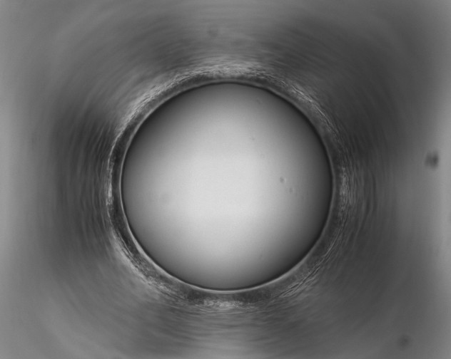 X0000116370582200912161440