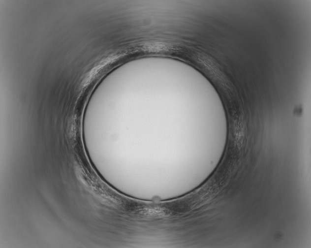 X0000116370583200912161440